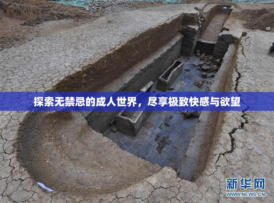 探索无禁忌的成人世界，尽享极致快感与欲望