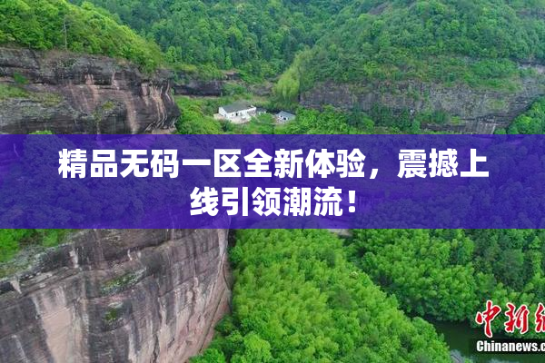 精品无码一区全新体验，震撼上线引领潮流！