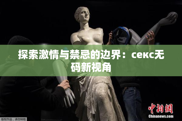 探索激情与禁忌的边界：секс无码新视角