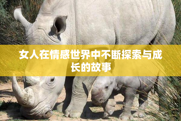 女人在情感世界中不断探索与成长的故事