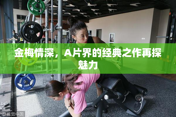 金梅情深，A片界的经典之作再探魅力