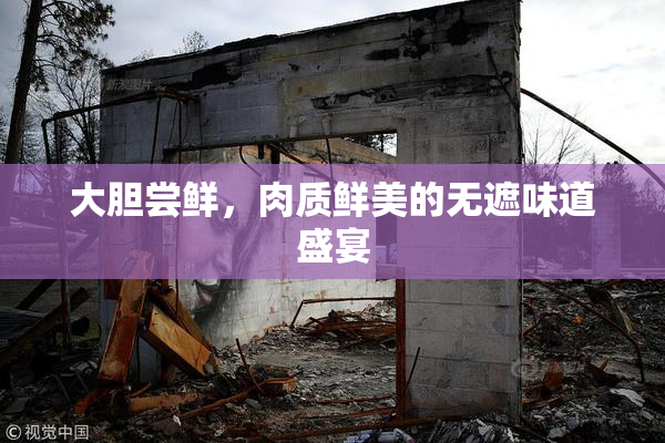 大胆尝鲜，肉质鲜美的无遮味道盛宴
