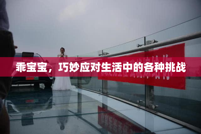 乖宝宝，巧妙应对生活中的各种挑战