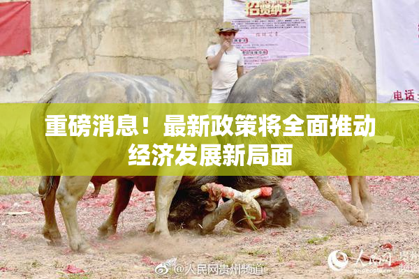 重磅消息！最新政策将全面推动经济发展新局面