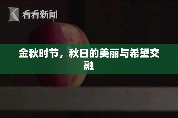 金秋时节，秋日的美丽与希望交融