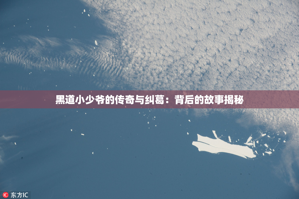 黑道小少爷的传奇与纠葛：背后的故事揭秘