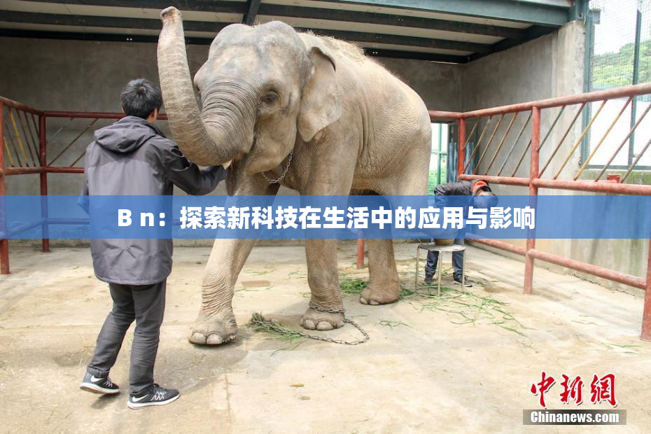 B n：探索新科技在生活中的应用与影响