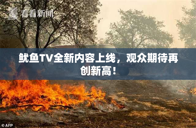 鱿鱼TV全新内容上线，观众期待再创新高！