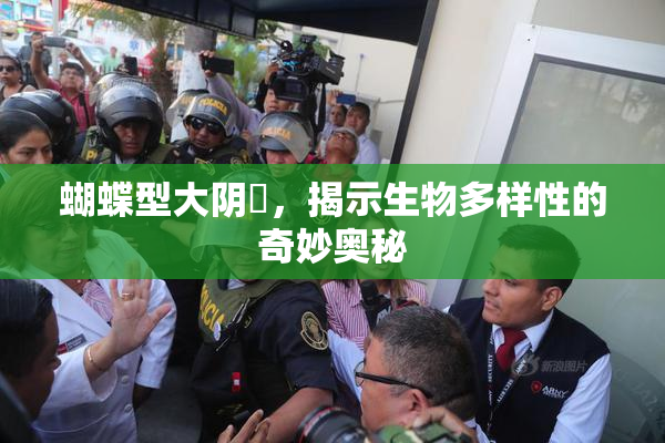 蝴蝶型大阴脣，揭示生物多样性的奇妙奥秘