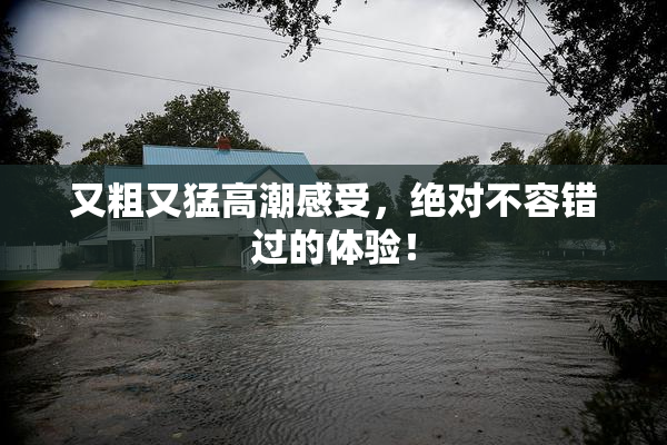 又粗又猛高潮感受，绝对不容错过的体验！