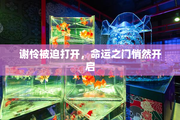 谢怜被迫打开，命运之门悄然开启