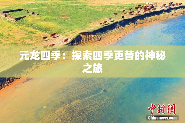 元龙四季：探索四季更替的神秘之旅