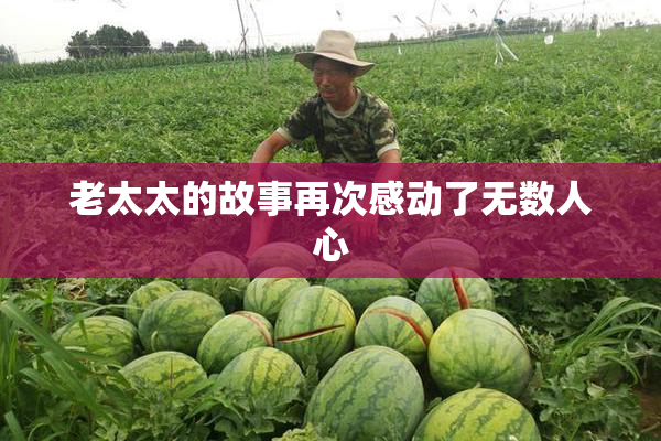 老太太的故事再次感动了无数人心