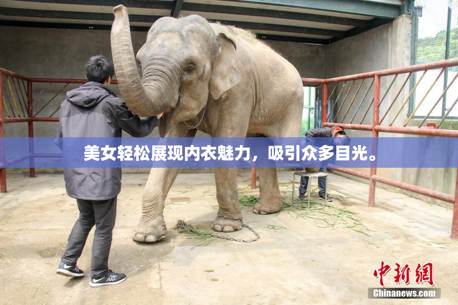 美女轻松展现内衣魅力，吸引众多目光。