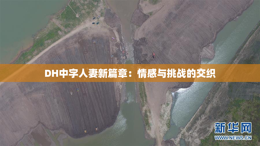DH中字人妻新篇章：情感与挑战的交织