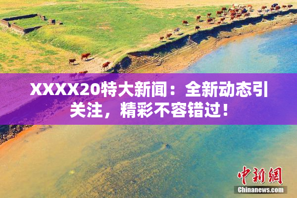 XXXX20特大新闻：全新动态引关注，精彩不容错过！