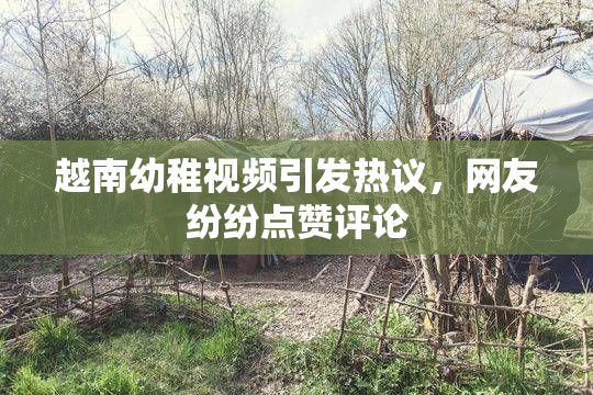 越南幼稚视频引发热议，网友纷纷点赞评论