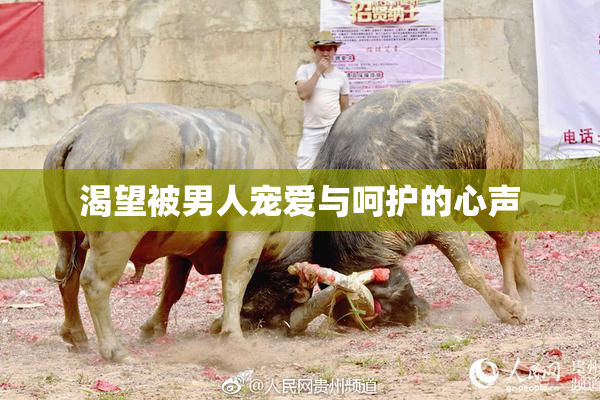渴望被男人宠爱与呵护的心声