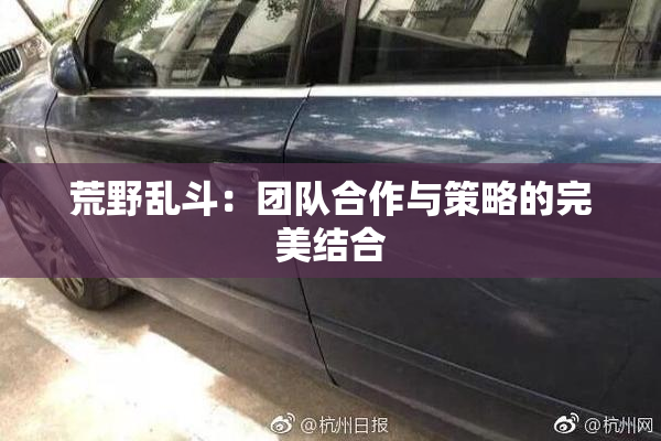 荒野乱斗：团队合作与策略的完美结合