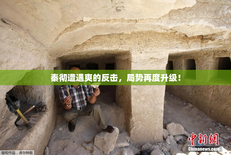 秦彻遭遇爽的反击，局势再度升级！