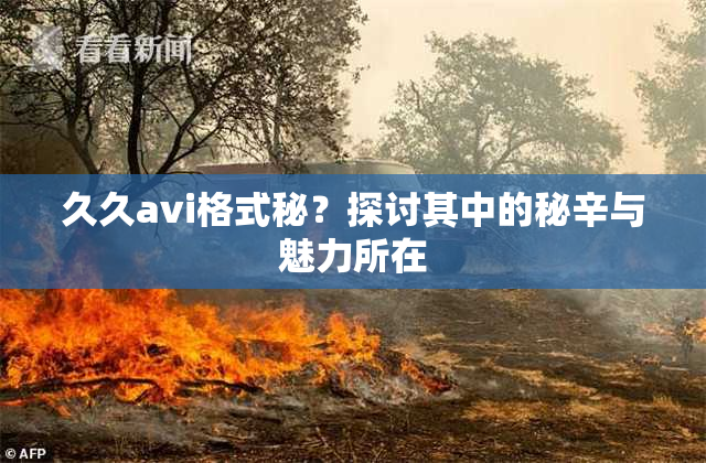 久久avi格式秘？探讨其中的秘辛与魅力所在