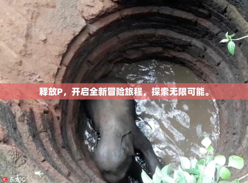 释放P，开启全新冒险旅程，探索无限可能。