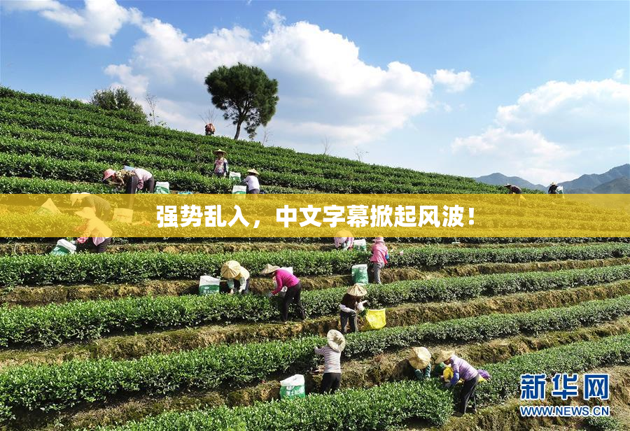 强势乱入，中文字幕掀起风波！