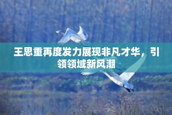 王思重再度发力展现非凡才华，引领领域新风潮