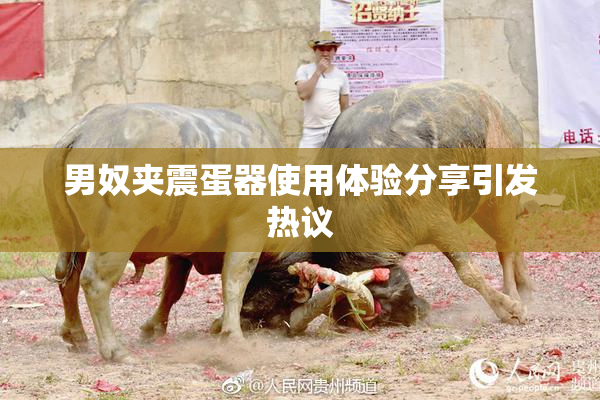 男奴夹震蛋器使用体验分享引发热议