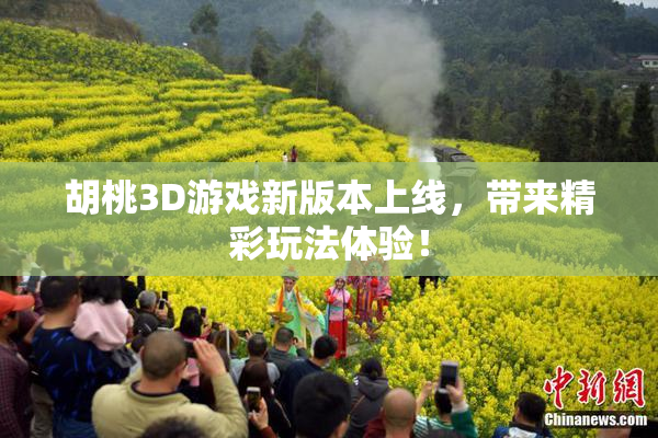 胡桃3D游戏新版本上线，带来精彩玩法体验！