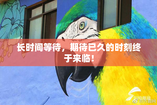 长时间等待，期待已久的时刻终于来临！