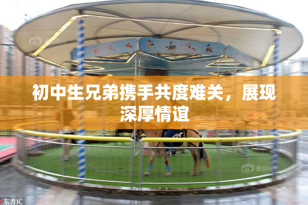 初中生兄弟携手共度难关，展现深厚情谊
