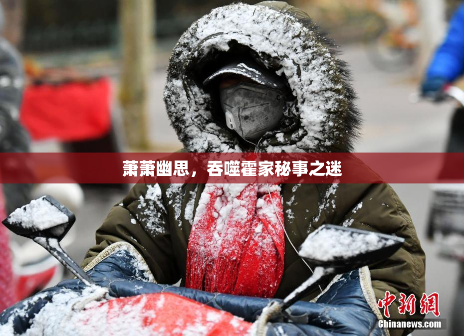 萧萧幽思，吞噬霍家秘事之迷