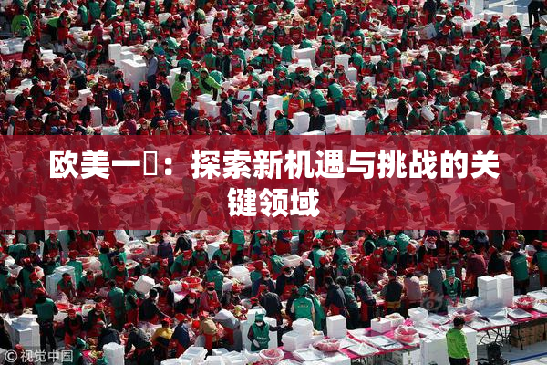 欧美一級：探索新机遇与挑战的关键领域