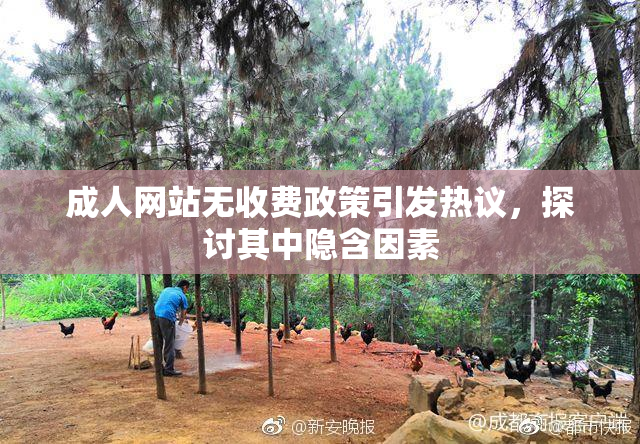 成人网站无收费政策引发热议，探讨其中隐含因素