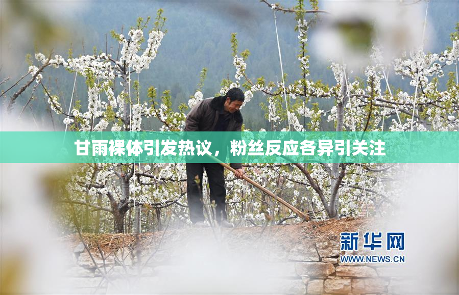 甘雨裸体引发热议，粉丝反应各异引关注
