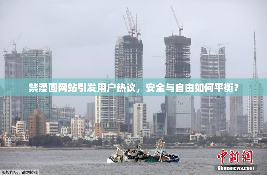 禁漫画网站引发用户热议，安全与自由如何平衡？