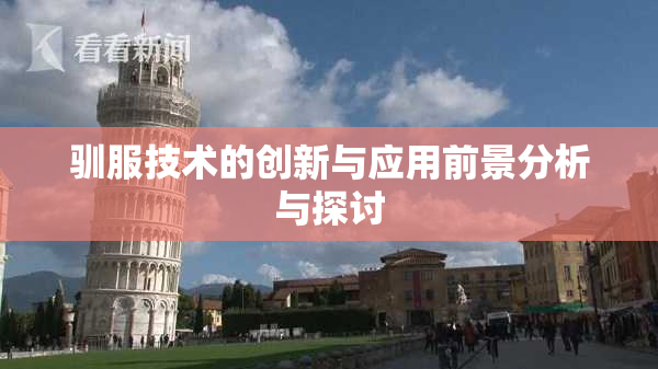 驯服技术的创新与应用前景分析与探讨