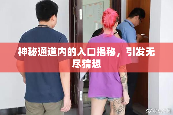 神秘通道内的入口揭秘，引发无尽猜想