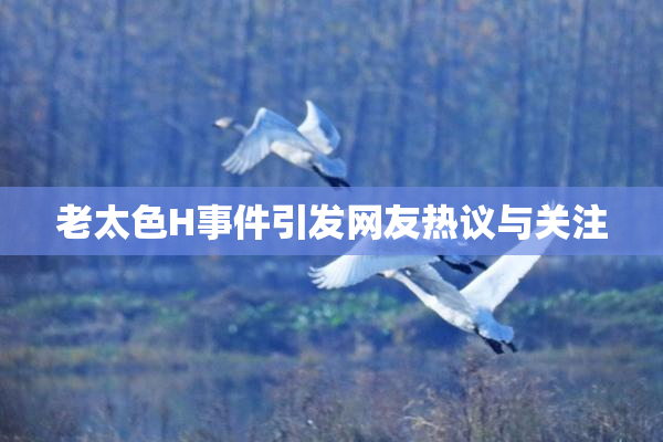 老太色H事件引发网友热议与关注
