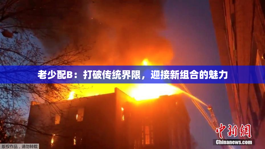 老少配B：打破传统界限，迎接新组合的魅力