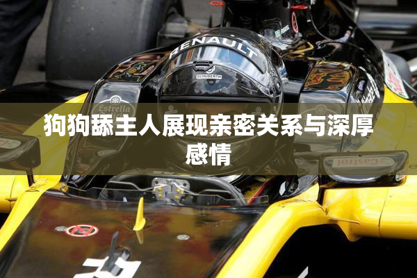 狗狗舔主人展现亲密关系与深厚感情
