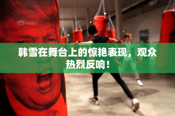 韩雪在舞台上的惊艳表现，观众热烈反响！