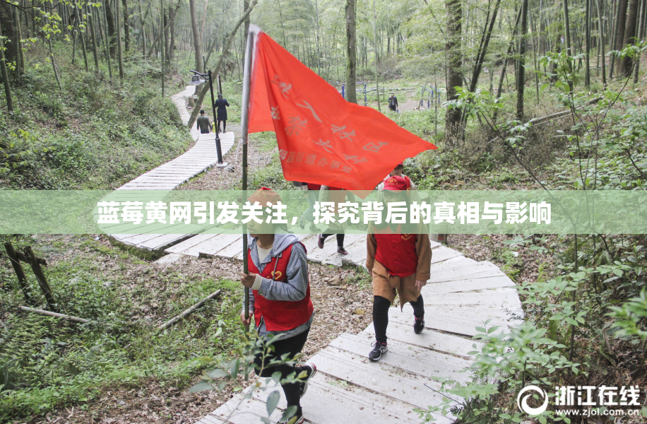 蓝莓黄网引发关注，探究背后的真相与影响