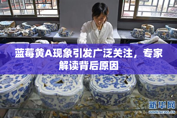 蓝莓黄A现象引发广泛关注，专家解读背后原因