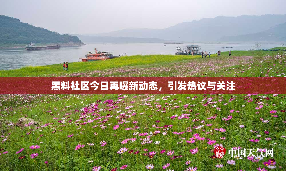 黑料社区今日再曝新动态，引发热议与关注