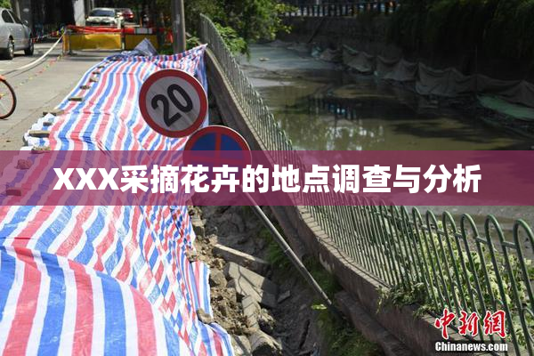 XXX采摘花卉的地点调查与分析
