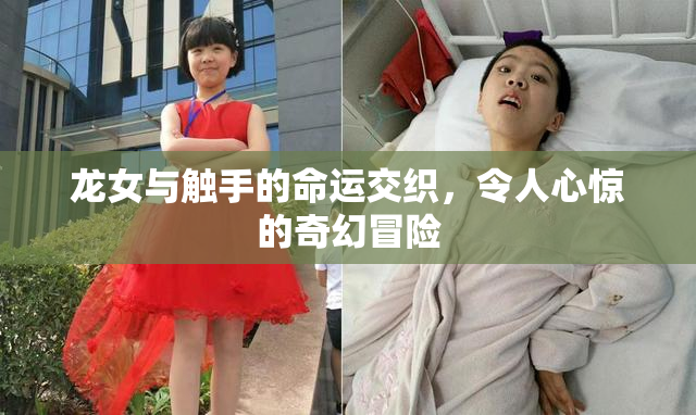 龙女与触手的命运交织，令人心惊的奇幻冒险