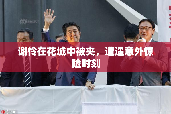 谢怜在花城中被夹，遭遇意外惊险时刻
