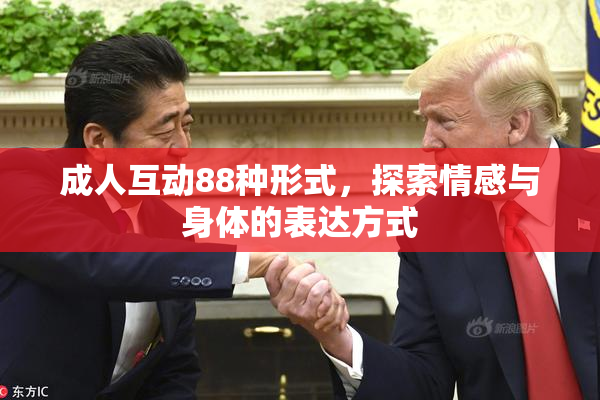 成人互动88种形式，探索情感与身体的表达方式
